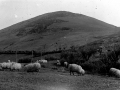 Vista del monte Akondia o Arrikurutz desde Usartza