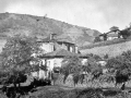 "Placencia de las Armas. Santuario de Ezocia"