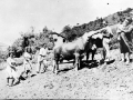 "Placencia. Faenas del campo en caserio Arritxa"