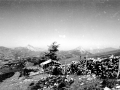 Aloña