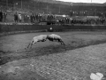 Ahari talka Eibarko plazan