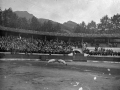 Pelea de carneros en la plaza de toros de Eibar