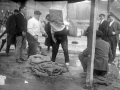 Usuola levantando la piedra cúbica de 14 arrobas (170 kg)