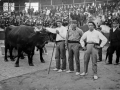 Los probalaris Ormola, Kortaberri y Sebastián Lasa, con la pareja de bueyes, en la plaza de toros de Eibar