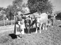 Labores del campo en el caserío Artamendi