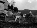Campesinos de Beizama haciendo metas de trigo