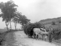 Gamiz. Paisaje a la entrada del pueblo.