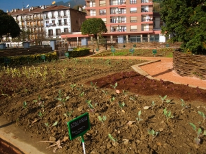 huerta urbana-III