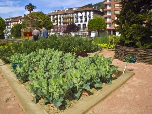 huerta urbana