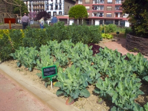 huerta urbana