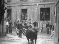 Iñauteri soka-muturra