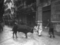Iñauteri soka-muturra