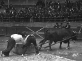 Idiapustu "Pedro Juan"