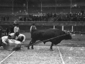 Idiapustu "Pedro Juan"