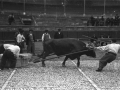 Idiapustu "Pedro Juan"