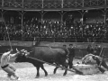 Idi apustu Pedro Juan - Apatamonasterio
