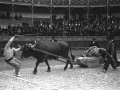 Idi apustu Pedro Juan - Apatamonasterio