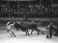 Idi apustu Pedro Juan - Apatamonasterio