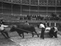 Idi apustu Pedro Juan - Apatamonasterio