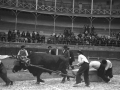Idi apustu Pedro Juan - Apatamonasterio