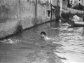Patos