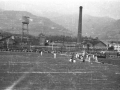1016330.jpg