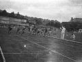 1016335.jpg
