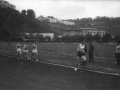 Anoeta
