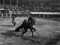 Tolosa. Becerrada Piña Raku; Jose Maria Bandres muleta (con sobresaliente)