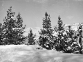 "Nieve. Montes de Eibar"