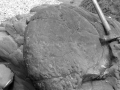 "Mutriku. Yacimiento de fósiles. Ammonites gigantes"