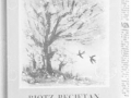 Xabier Lizardiren ´Bihotz-begietan´ liburuko azalaren erreprodukzioa