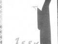 Iratzeder-ren ´Zeru menditik´ liburuko azalaren erreprodukzioa