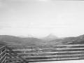 Udana. Behatokia