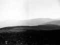 Zaraia mendilerroaren ikuspegi panoramikoa