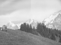 Jungfrau. Mürren-en inguruetatik