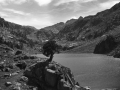 Bohí bailarako Estany Negre