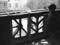 Ezkarai. Zuhaitz eta bi-gurutzedun ezaugarriak
