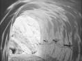 Mer de Glace. Izotzaren haitzuloa
