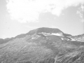 Posets. Gailurra