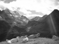 Taillón Gavarnie-tik Tucarroyarako bidean