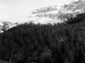 Alano mendilerroa. Zuriza
