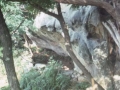 Abrigo rocoso rodeado de árboles y ramas en el monte Jaizkibel