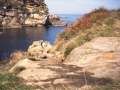 Jaizkibeleko kala