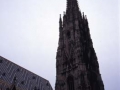 Vienako San Esteban katedral gotikoko dorrea