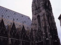 Vienako San Esteban katedral gotikoko dorrea