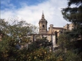 Campanario de la iglesia Santa María de la Asunción desde de la plaza Javier Ugarte