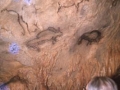 Panel de pinturas rupestres de la cueva de Santimamiñe