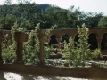 Huesca. San Juan de la Peña