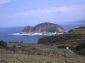 Getariako Xagua